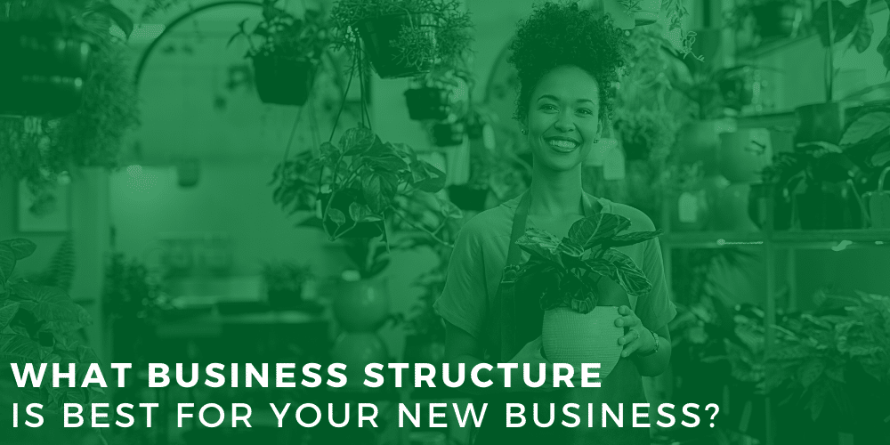 Tax Smart Advisors Blog: What business structure is best for your new business?